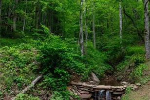 264 Quiet Times Dr, Burnsville, NC 28714 - Photo 18