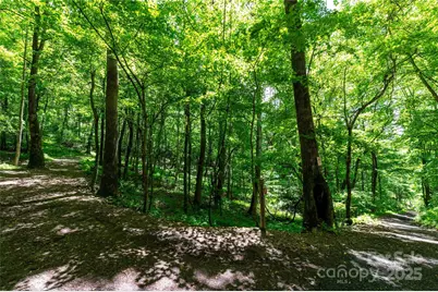 264 Quiet Times Drive, Burnsville, NC 28714 - Photo 30