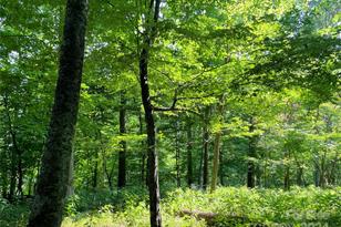 3065 Piney Hill Rd, Burnsville, NC 28714 - Photo 30