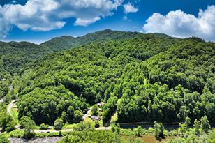 3065 Piney Hill Rd, Burnsville, NC 28714 - Photo 4