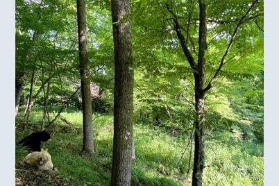 3065 Piney Hill Road, Burnsville, NC 28714 - Photo 26