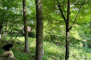 3065 Piney Hill Rd, Burnsville, NC 28714 - Photo 26