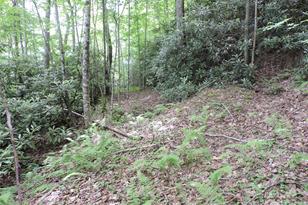 00 South Toe River Rd, Burnsville, NC 28714 - Photo 8