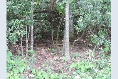 00 South Toe River Road #lot 3, Burnsville, NC 28714 - Photo 28