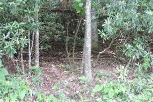 00 South Toe River Rd, Burnsville, NC 28714 - Photo 28