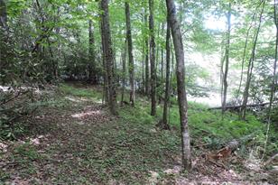 00 South Toe River Rd, Burnsville, NC 28714 - Photo 6