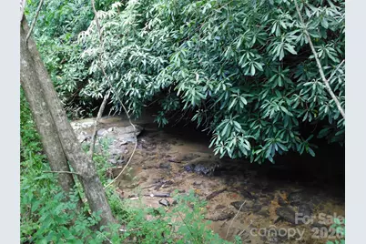 7320 Asheville Highway, Pisgah Forest, NC 28768 - Photo 8