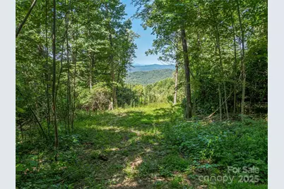 632 Justus Case Mountain Place, Hendersonville, NC 28792 - Photo 36