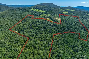 632 Justus Case Mountain Pl, Hendersonville, NC 28792 - Photo 1