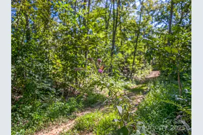 632 Justus Case Mountain Place, Hendersonville, NC 28792 - Photo 18