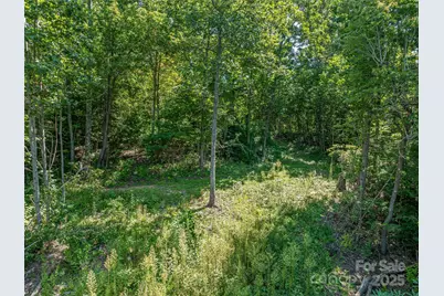 632 Justus Case Mountain Place, Hendersonville, NC 28792 - Photo 40