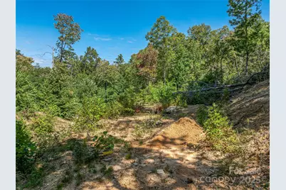 632 Justus Case Mountain Place, Hendersonville, NC 28792 - Photo 30