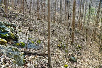 158 Sugar Cove Road, Weaverville, NC 28787 - Photo 38