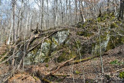 158 Sugar Cove Road, Weaverville, NC 28787 - Photo 28