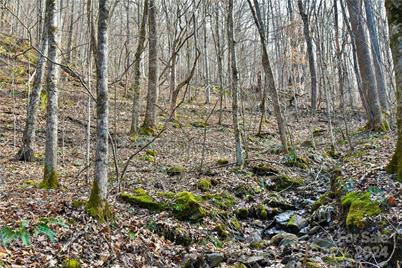 158 Sugar Cove Road, Weaverville, NC 28787 - Photo 32
