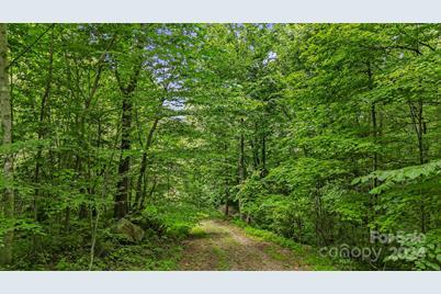 158 Sugar Cove Road, Weaverville, NC 28787 - Photo 40