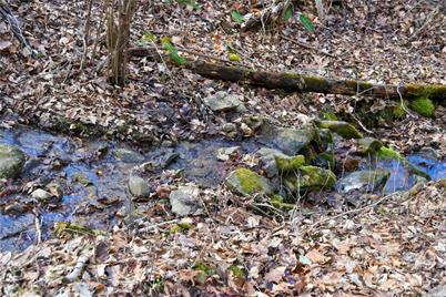 158 Sugar Cove Road, Weaverville, NC 28787 - Photo 30