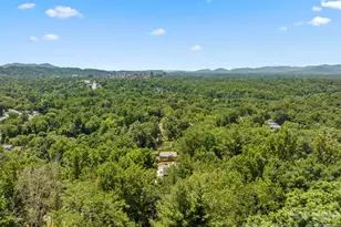 104 Maney Ave, Asheville, NC 28804 - Photo 36