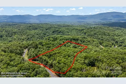 000 Lake Adger Parkway #22, Mill Spring, NC 28756 - Photo 2