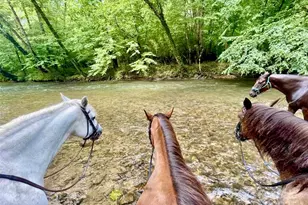 1387 River Club Ridge, Lenoir, NC 28645 - Photo 40