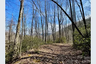 10.02 Acres Tbd Rock Garden Road, Black Mountain, NC 28711 - Photo 2