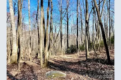 10.02 Acres Tbd Rock Garden Road, Black Mountain, NC 28711 - Photo 6