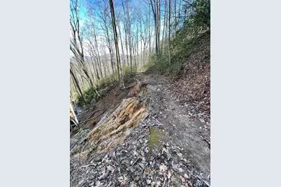 10.02 Acres Tbd Rock Garden Road, Black Mountain, NC 28711 - Photo 16