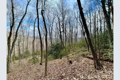10.02 Acres Tbd Rock Garden Road, Black Mountain, NC 28711 - Photo 1