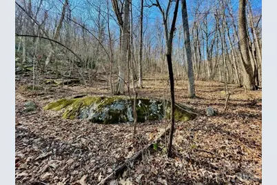 10.02 Acres Tbd Rock Garden Road, Black Mountain, NC 28711 - Photo 4