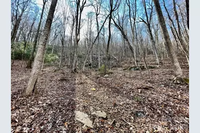 10.02 Acres Tbd Rock Garden Road, Black Mountain, NC 28711 - Photo 14