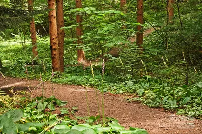 108 Lakewood Drive, Asheville, NC 28803 - Photo 42