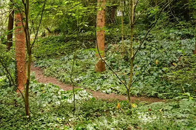 108 Lakewood Drive, Asheville, NC 28803 - Photo 44