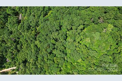 99999 Vance Gap Road, Asheville, NC 28805 - Photo 16