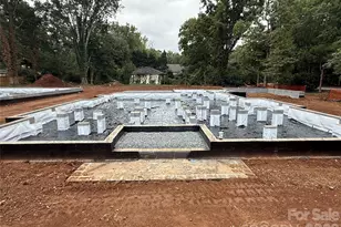 106 Hunter Ln, Charlotte, NC 28211 - Photo 36