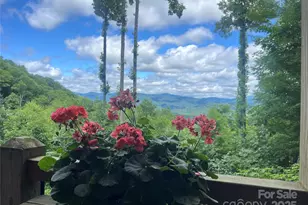 47 Creekside Wy, Burnsville, NC 28714 - Photo 34