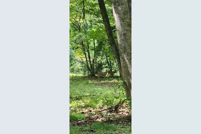 2767 Tanasee Gap Road, Balsam Grove, NC 28708 - Photo 6