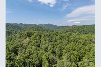 1084 Old Howard Gap Road, Saluda, NC 28773 - Photo 42