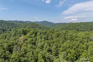1084 Old Howard Gap Rd, Saluda, NC 28773 - Photo 42