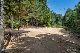 1084 Old Howard Gap Rd, Saluda, NC 28773 - Photo 32