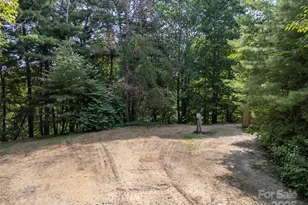 1084 Old Howard Gap Rd, Saluda, NC 28773 - Photo 38