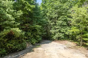 1084 Old Howard Gap Rd, Saluda, NC 28773 - Photo 40