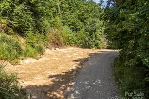 1084 Old Howard Gap Rd, Saluda, NC 28773 - Photo 6