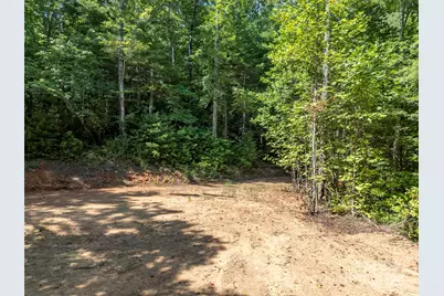 1084 Old Howard Gap Road, Saluda, NC 28773 - Photo 48