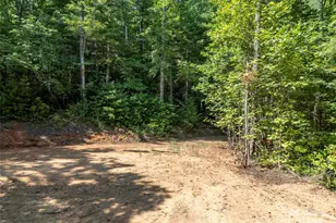 1084 Old Howard Gap Rd, Saluda, NC 28773 - Photo 48