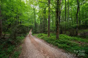 552 Avery Creek, Arden, NC 28704 - Photo 42