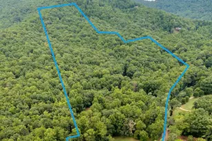 552 Avery Creek, Arden, NC 28704 - Photo 48