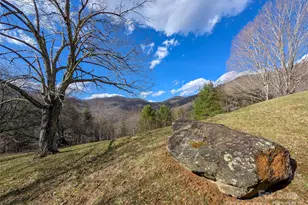 72 Pilgrims Ln, Burnsville, NC 28714 - Photo 44