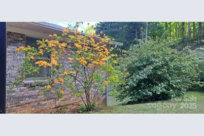 145 Appalachian Drive, Burnsville, NC 28714 - Photo 40