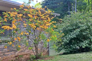 145 Appalachian Dr, Burnsville, NC 28714 - Photo 40