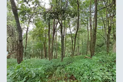 00 Hurricane Ridge Trace #53, Clyde, NC 28721 - Photo 10